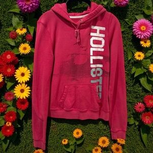 Y2K Hollister Spellout Pink Hooded Pullover Comfort Collegiate Coastal Size M